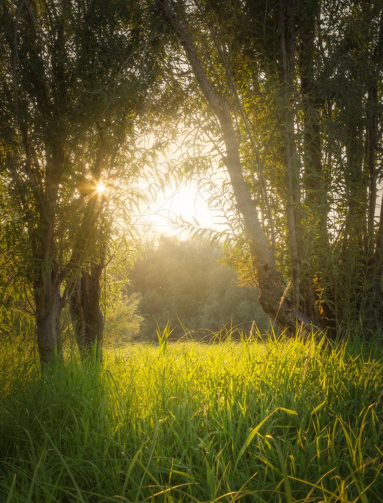 Photograph by Andrey Raspopov