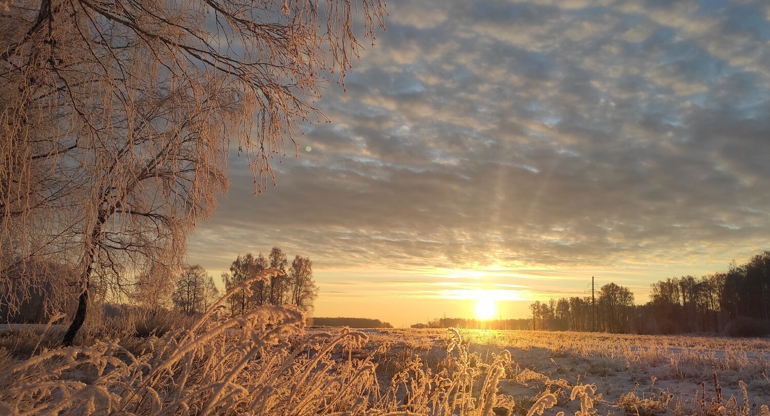 Photo #5561740