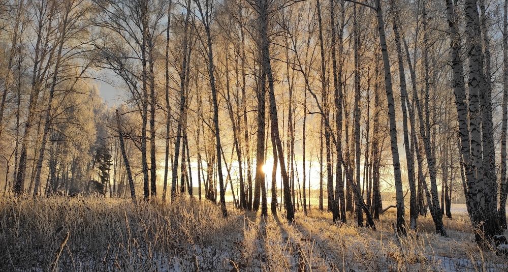 Photo #5561755