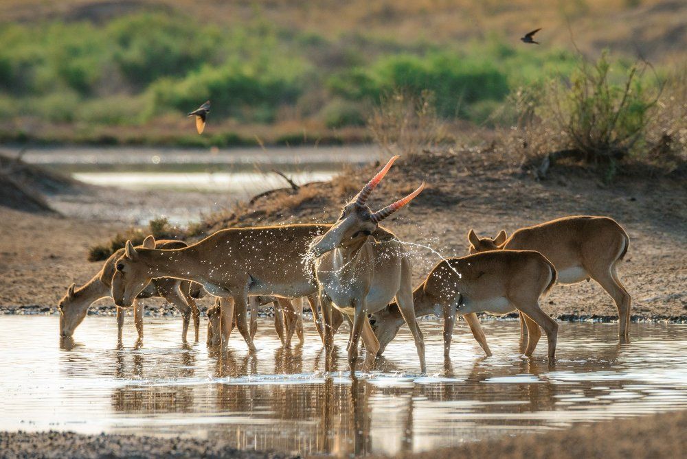 Водные процедуры