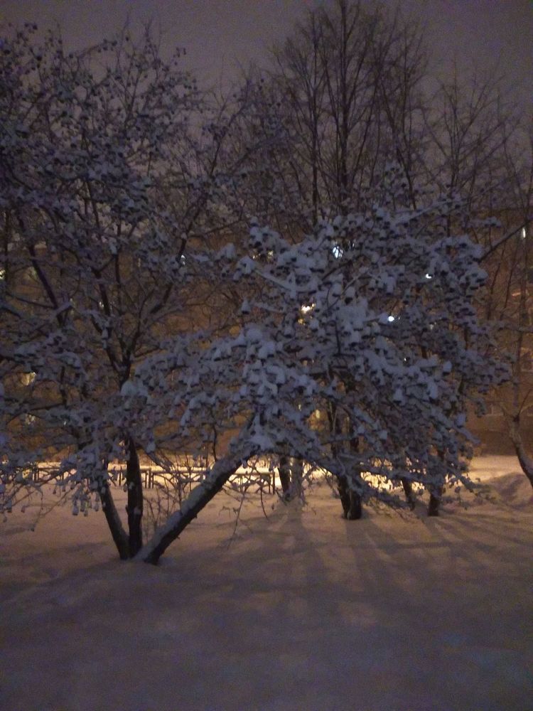 Photograph by Владислав Павлинов