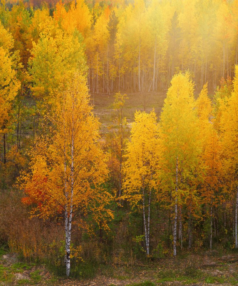 Photograph by Andrey Raspopov