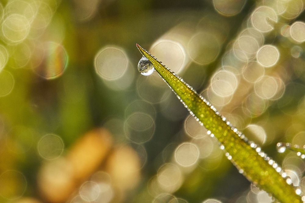 Photograph by Татьяна Полянская