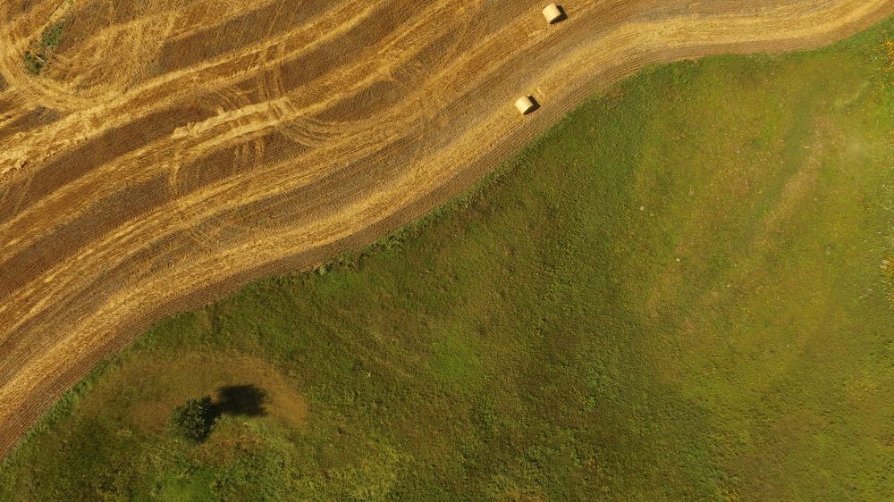 Photograph by Дмитрий