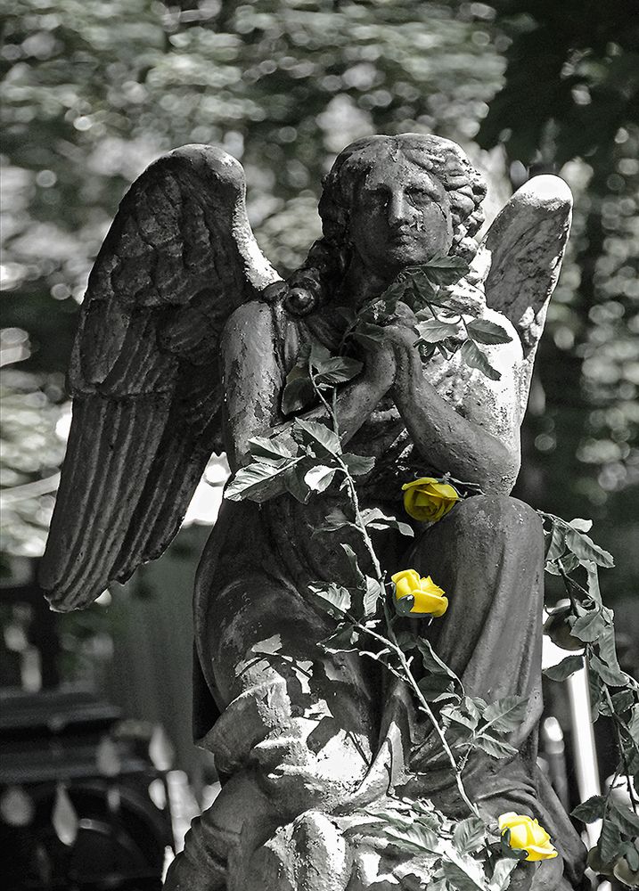 ВАГАНЬКОВО. ИЮНЬ