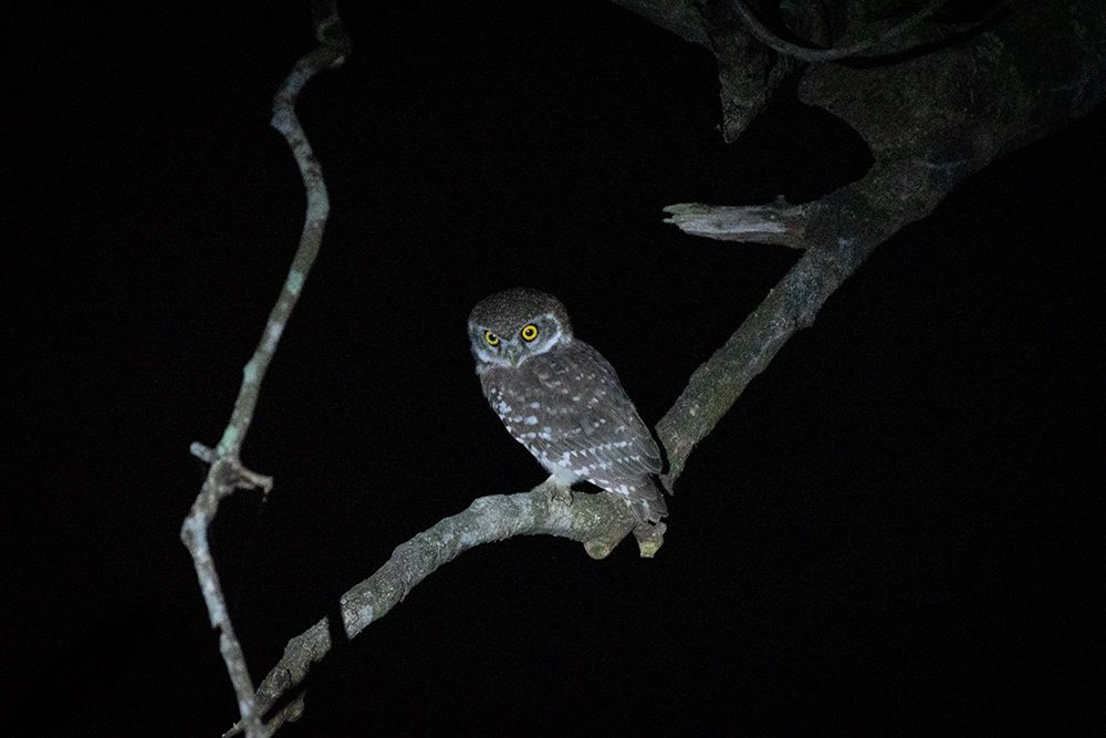 Angry due to our presence !!!