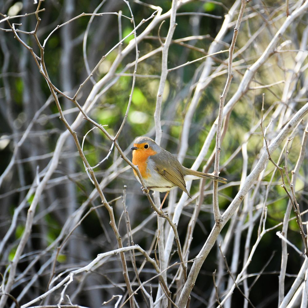 Photograph by Odysseas Christofides