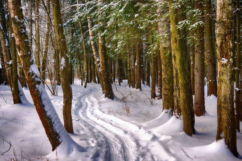 Photograph by Пётр Калачев