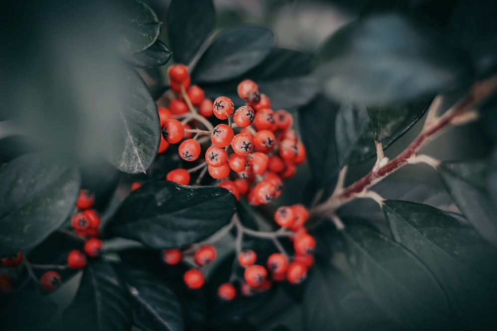 Photograph by Екатерина Потанина