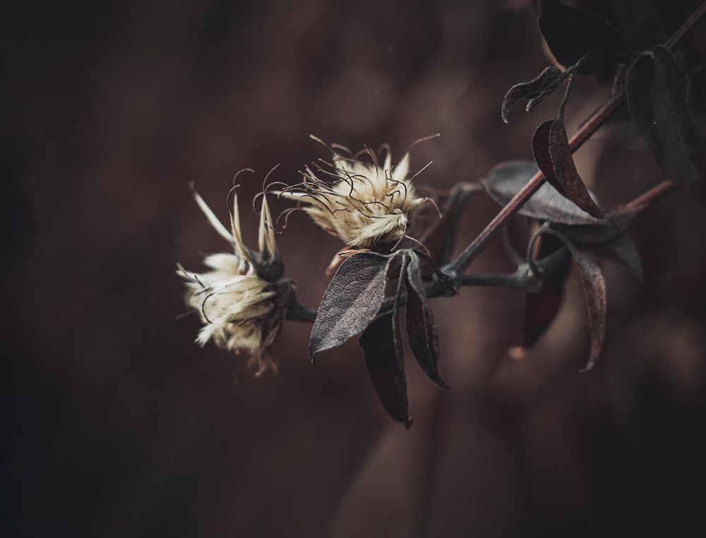 Photograph by Екатерина Потанина