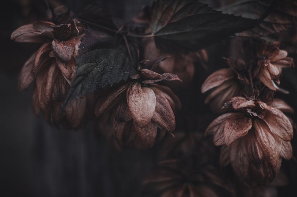 Photograph by Екатерина Потанина