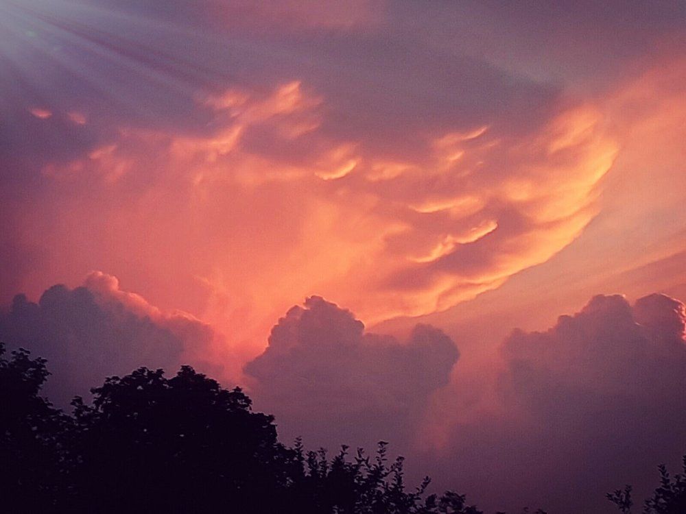 Photograph by Lidija Jevremovic