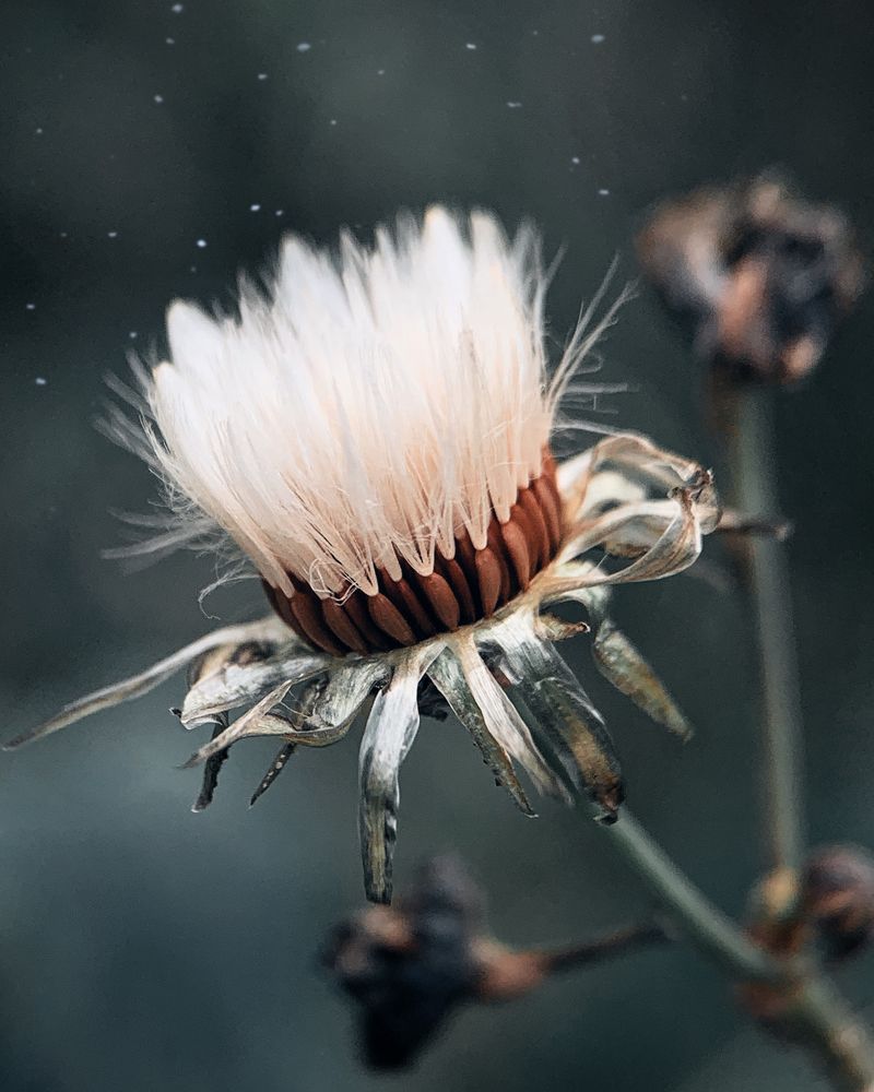 Photograph by Валерия Дорогова