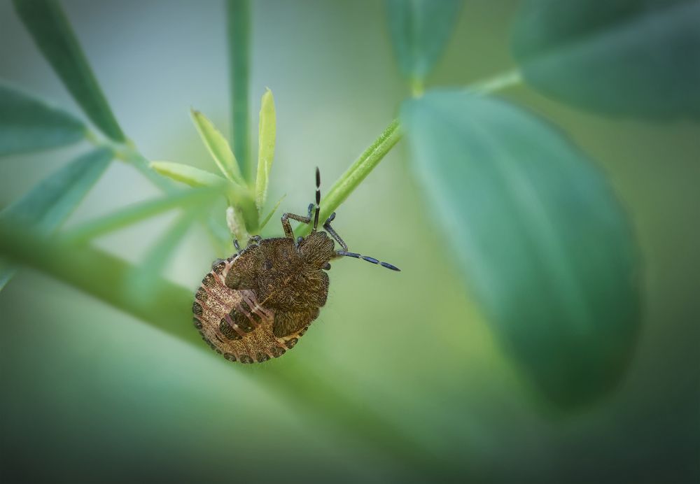 Photograph by Марина Хилько