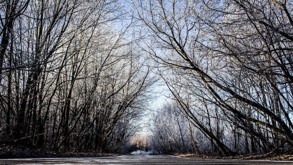 Photograph by Дмитрий Лепаков