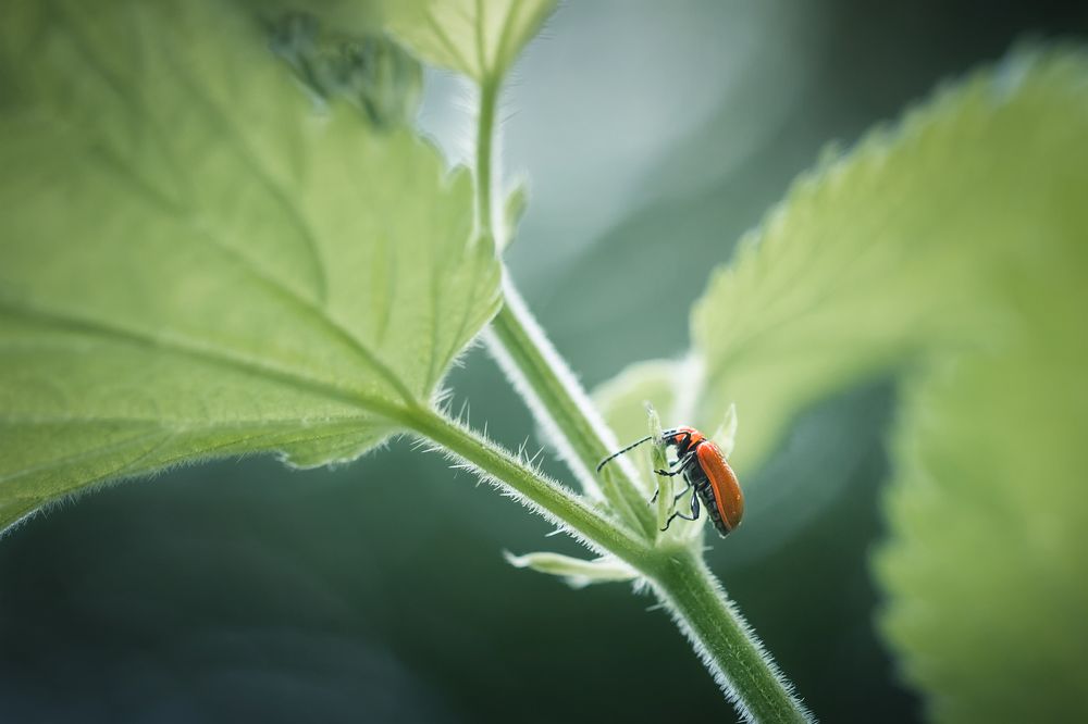 Photograph by Марина Хилько