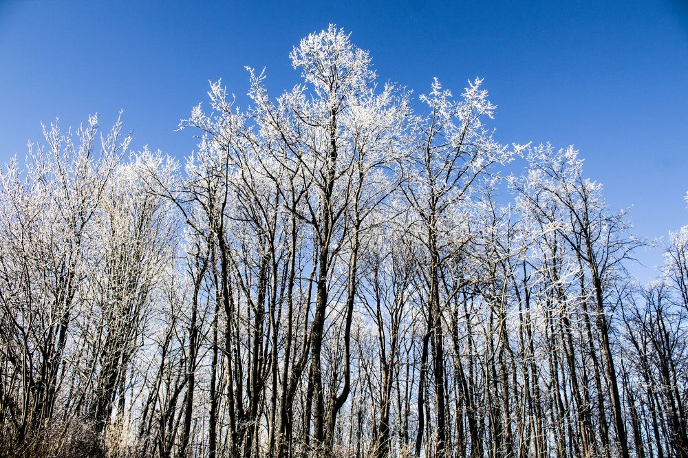 Photograph by Дмитрий Лепаков