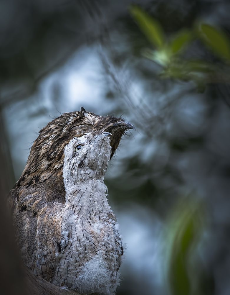 Photograph by André Inidio