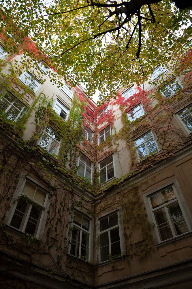 Photograph by Артем Кравец