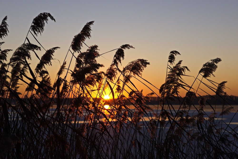 Зимний закат.