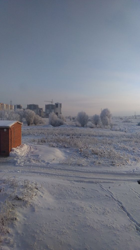 Photo #5562430