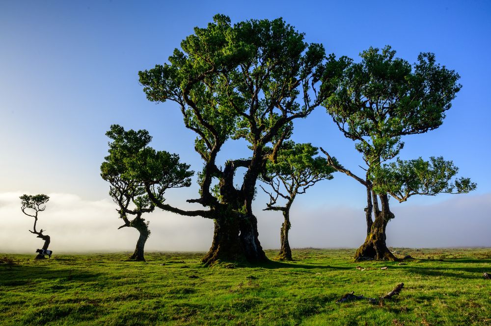 Photograph by Vitalis Vasylius