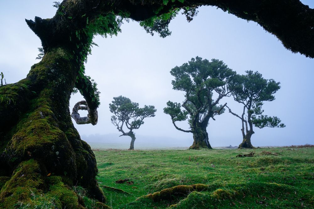 Photograph by Vitalis Vasylius