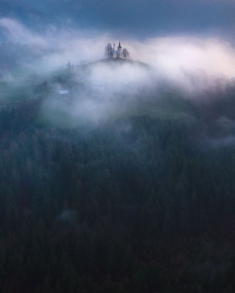 Фотография автора Remo Daut