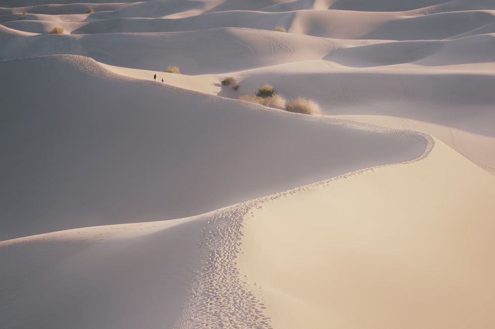 Фотография автора Remo Daut