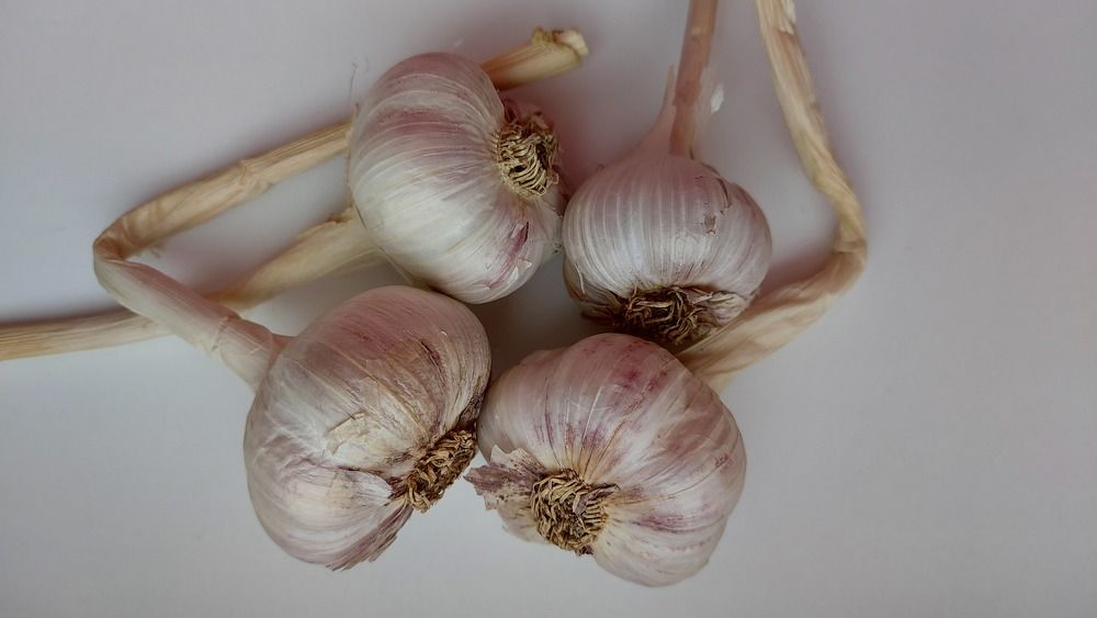 Photograph by ЭЛЬМИРА  ИСМАИЛОВА