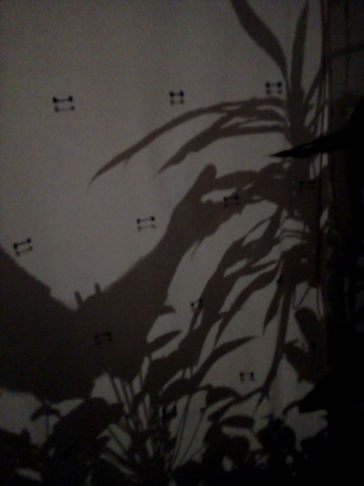 Photograph by José Luis Mendoza Machado