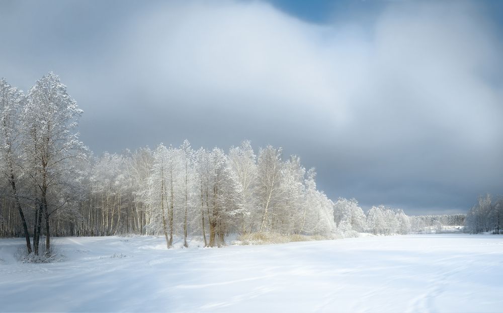 Серебряная зима