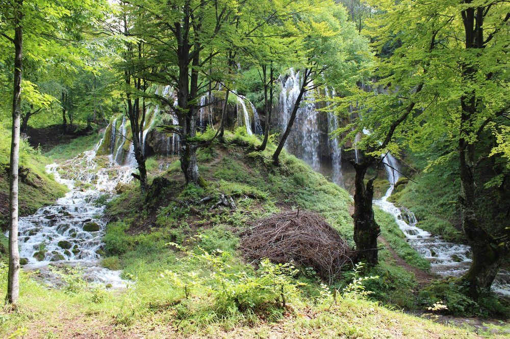 Photograph by Lidija Jevremovic