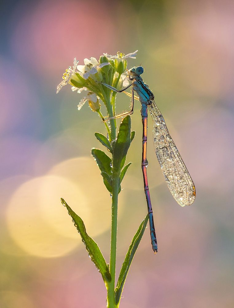 Photograph by Pawel Plucinski