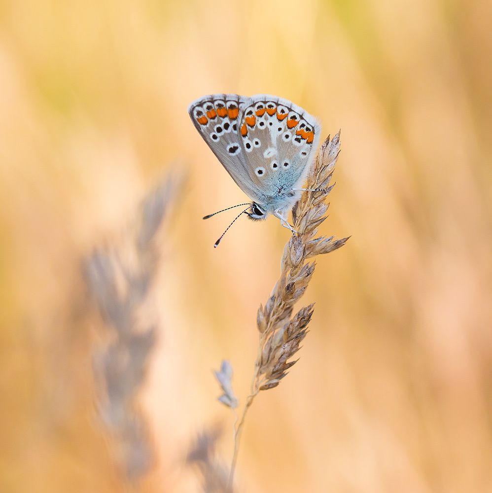 Photograph by Pawel Plucinski