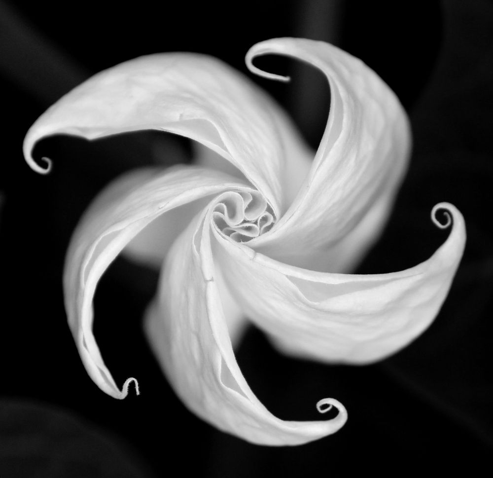 Photograph by Анастасия Ивахнова