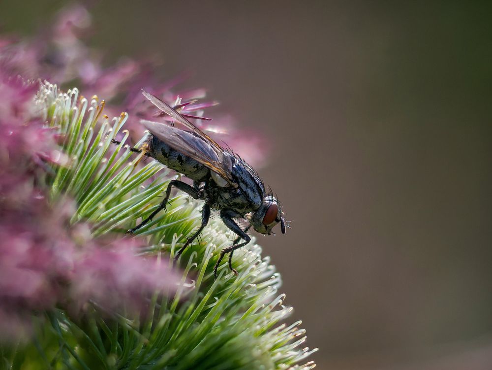 Photograph by Андрей Бурда