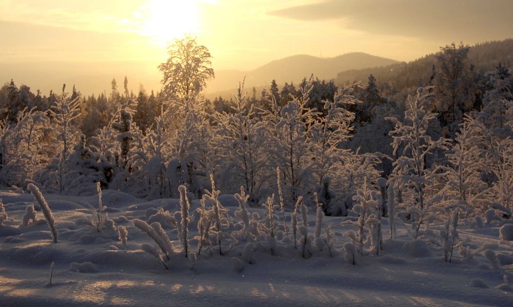 Photograph by Лада Денисова