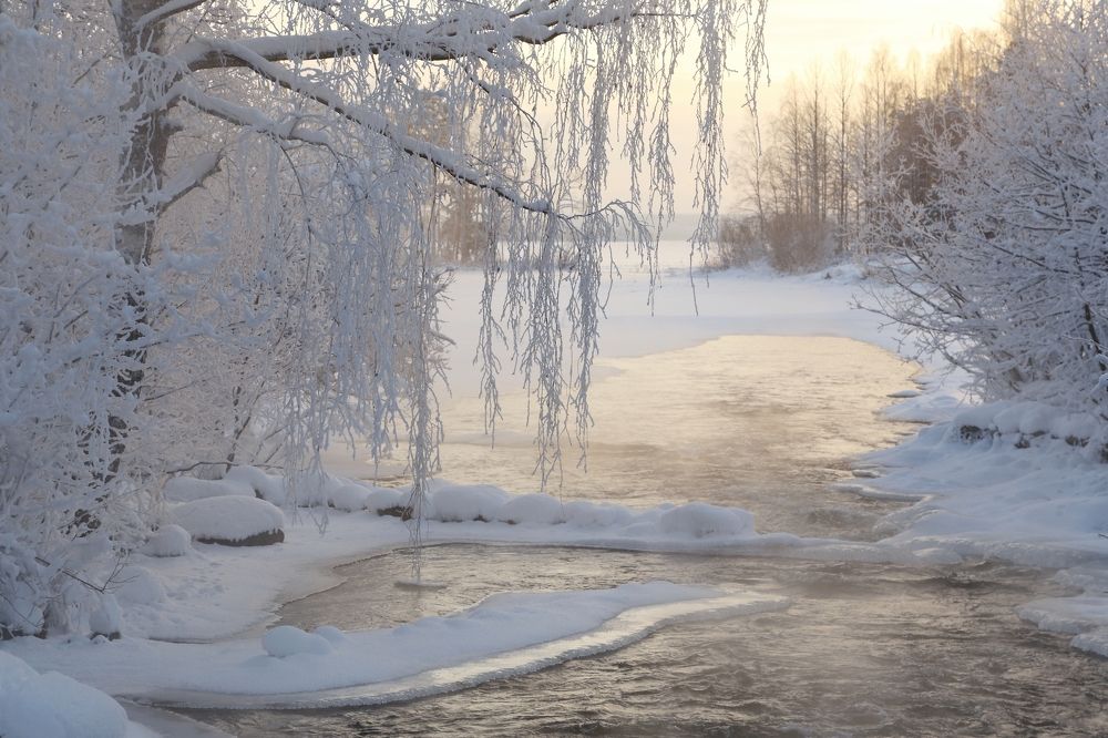 Замерзающий день.