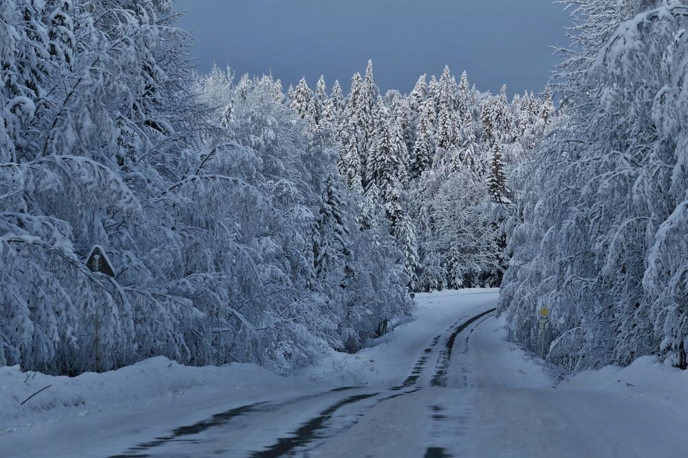 Зимняя дорога.