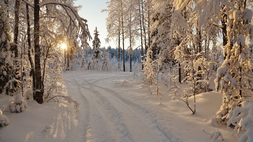 Снежное солнышко.