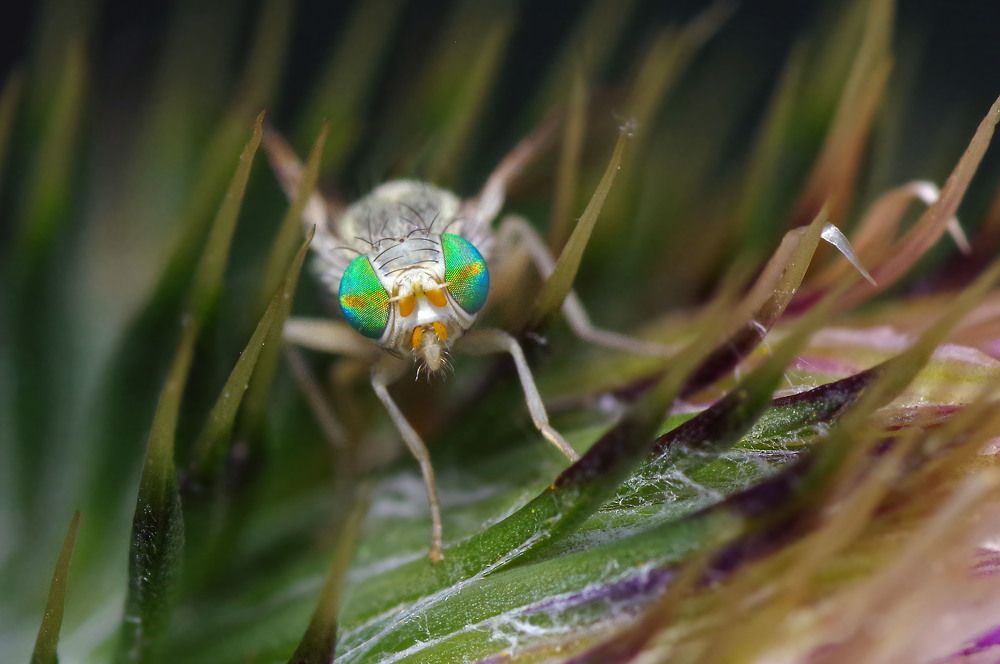 Photograph by Светлана