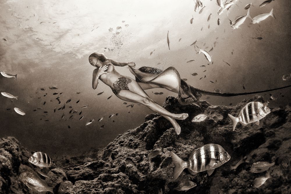 Photograph by Plamena Mileva