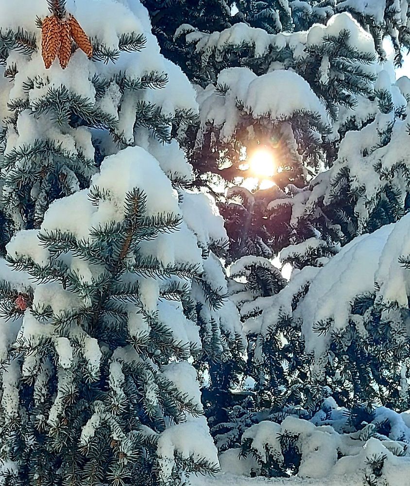 Photograph by Iren Kuzlo