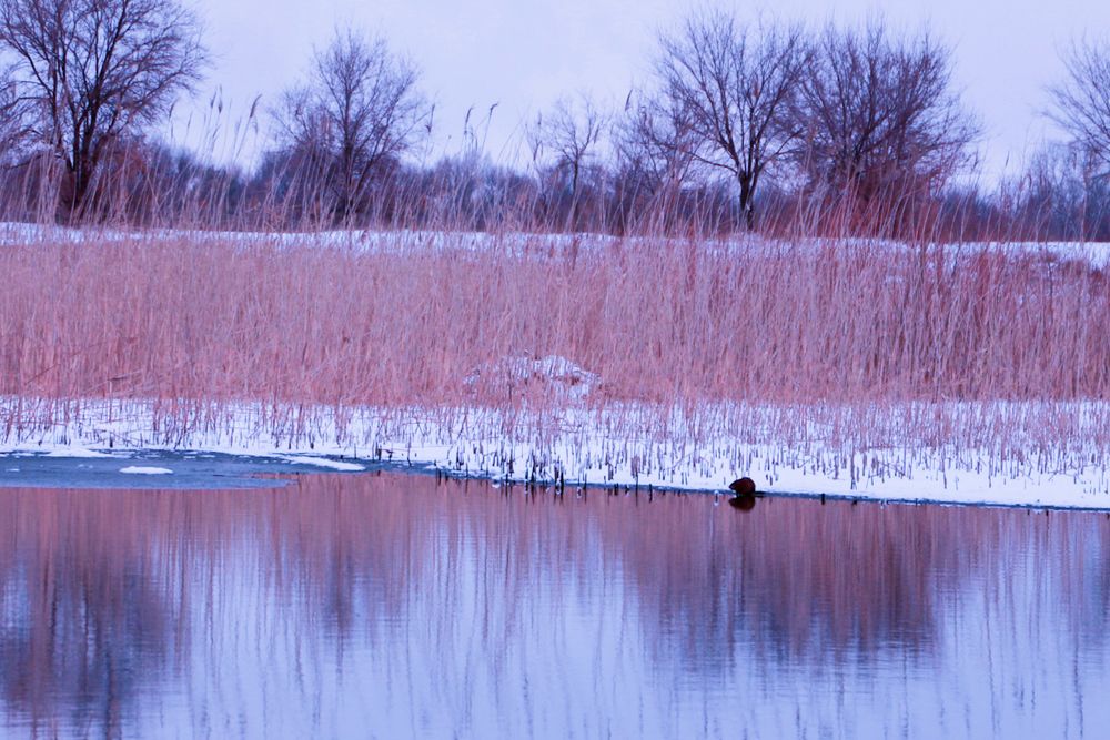 Photograph by Iren Kuzlo