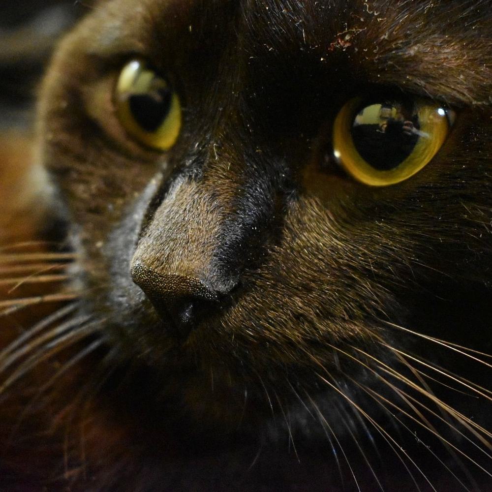 Photograph by Михаил Бородкин