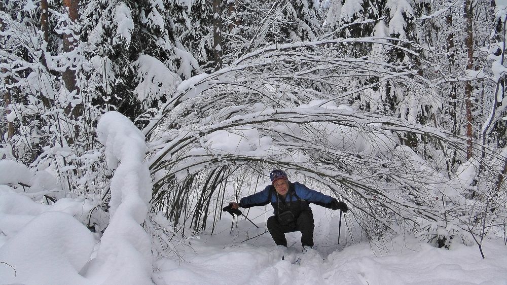 Photograph by Анатолий Майбуров