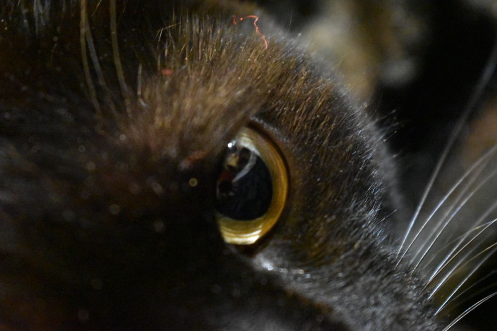 Photograph by Михаил Бородкин