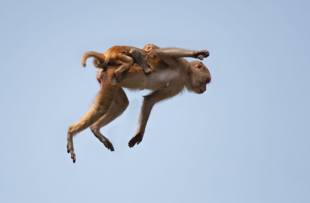 Photograph by Najim Ahmed