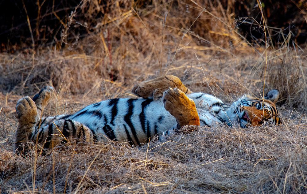 Photograph by Najim Ahmed